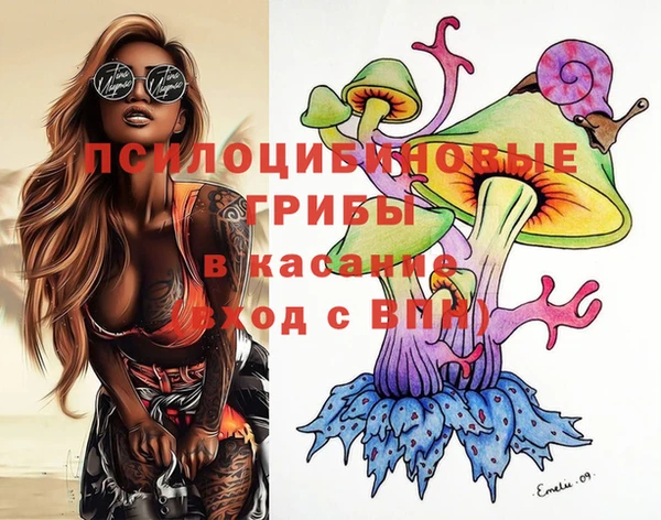 гашик Заволжье