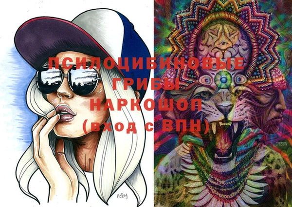 гашик Заволжье