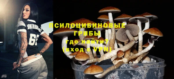 гашик Заволжье