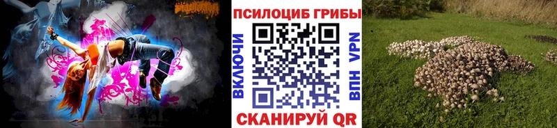Купить  Горнозаводск  Галлюциногенные грибы мицелий 